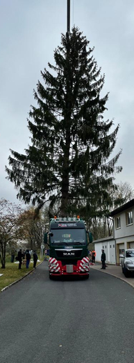 Anlieferung Weihnachtsbaum für den Erfurter Domplatz 2